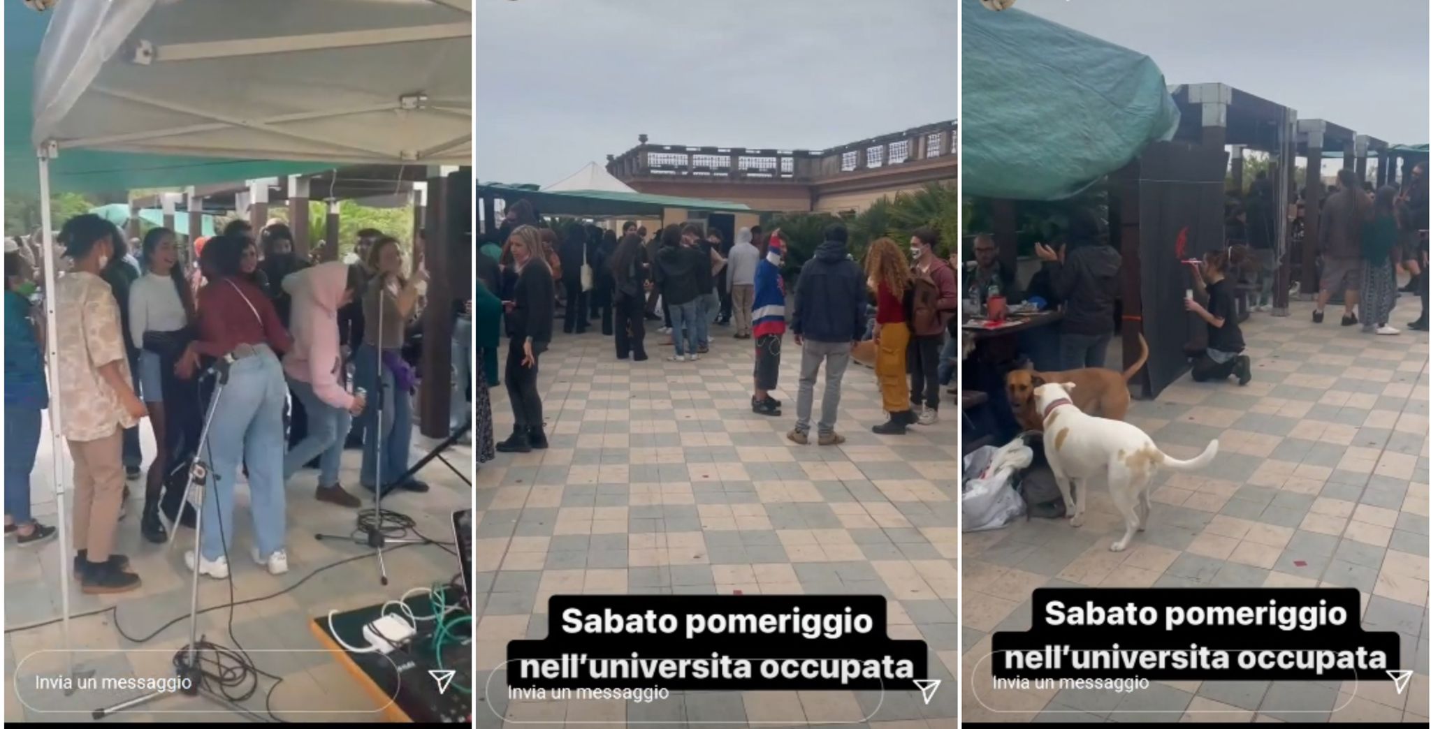 università occupata