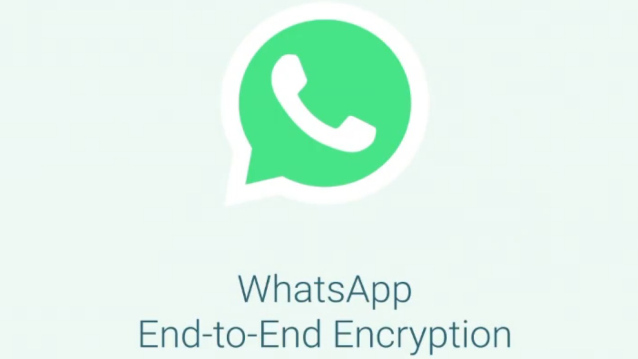 aggiornamento WhatsApp