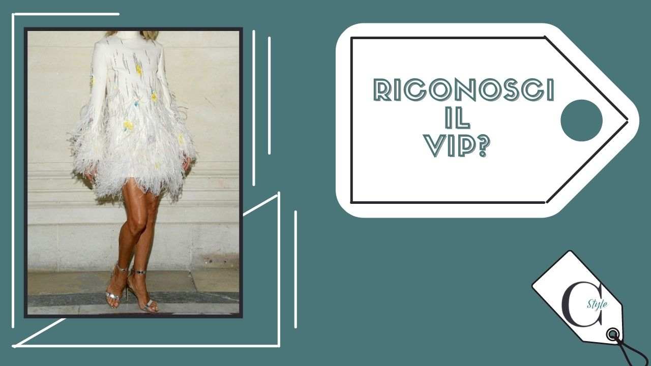 Céline Dion indovina il vip