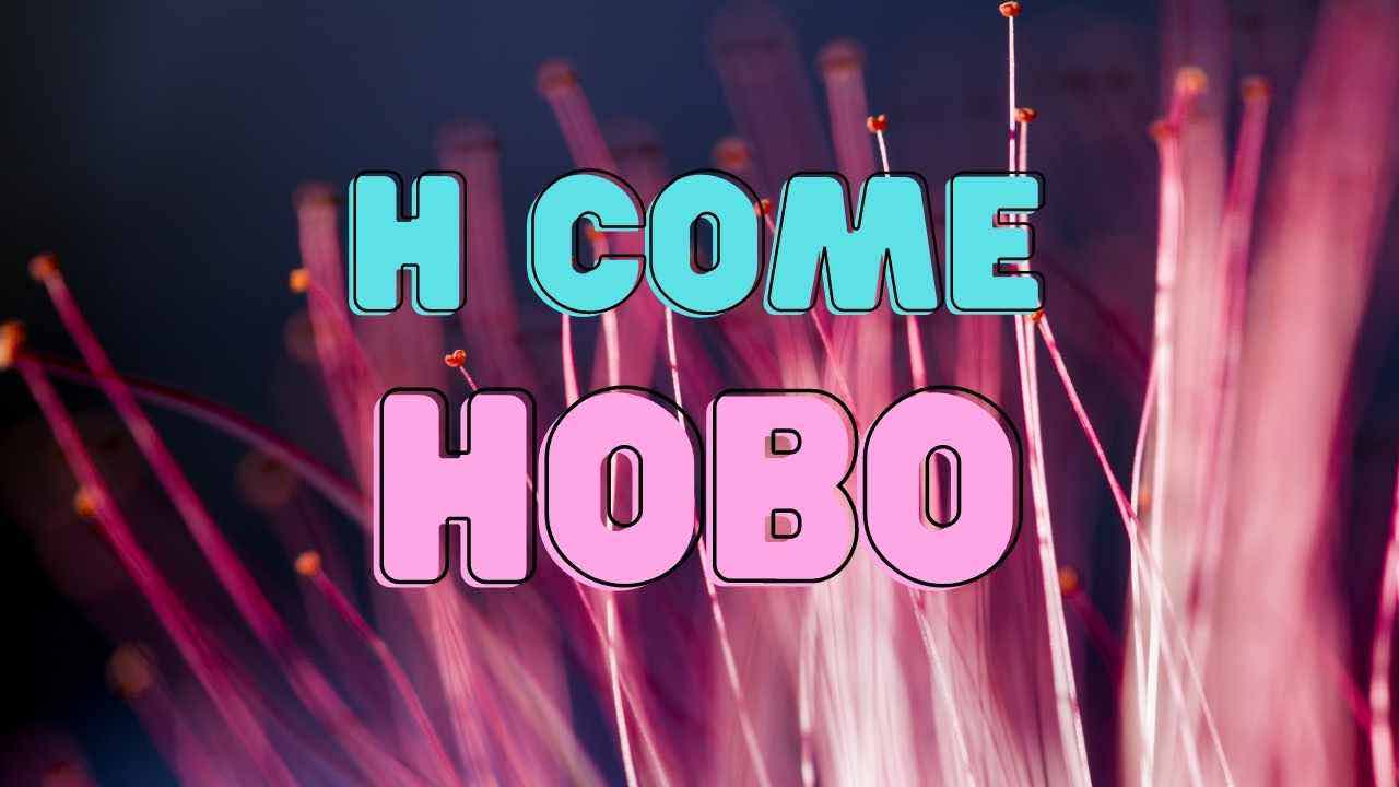 Hobo