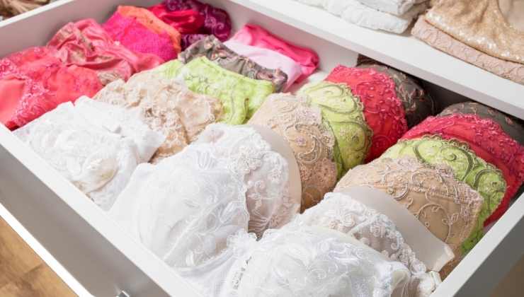 scegliere reggiseno