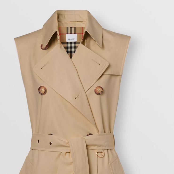 trench coat burberry