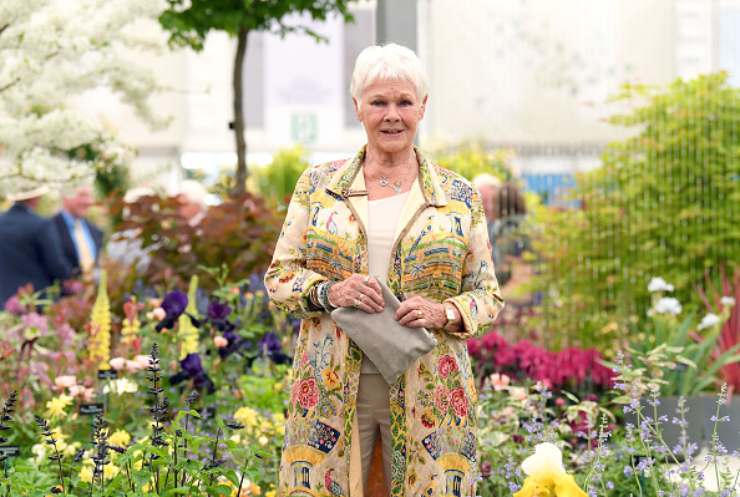 Judi Dench cappotto a fantasia