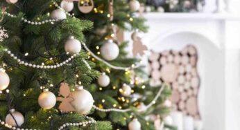 Di che colore è il tuo albero di Natale? Diccelo e scopri che Feste vivrai