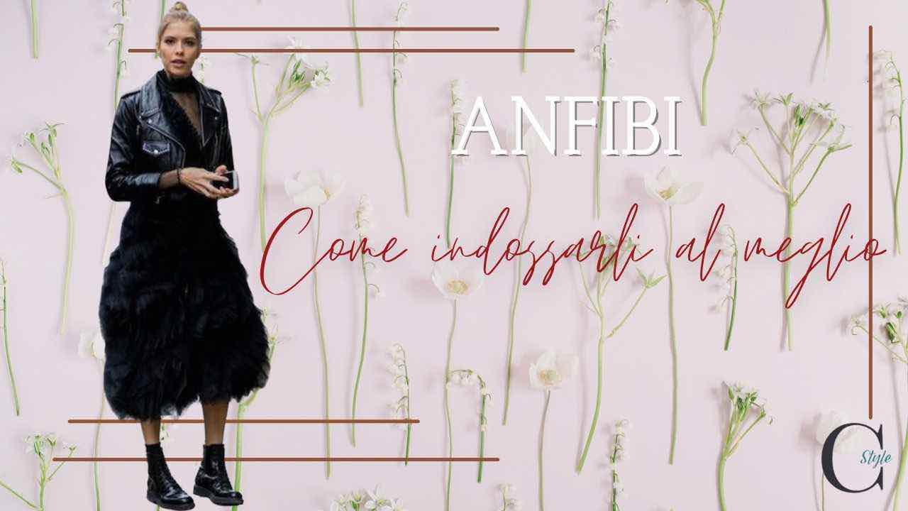 Anfibi