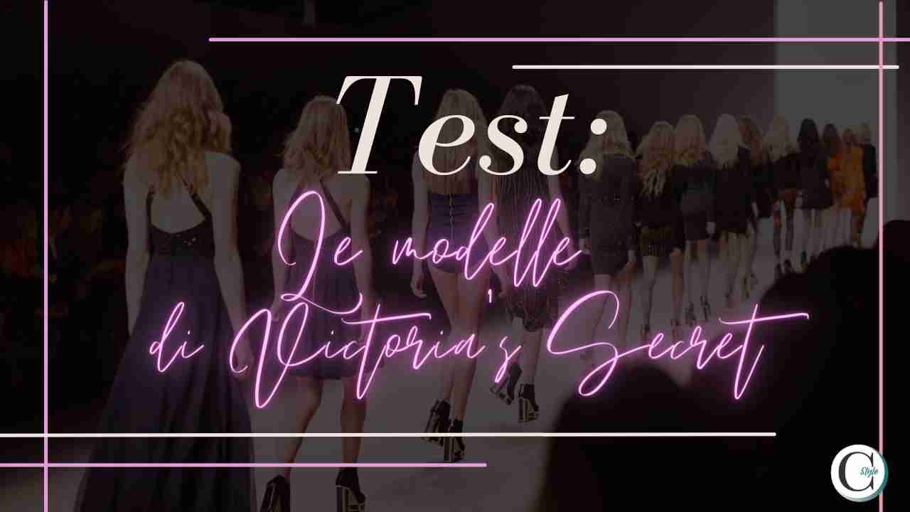 test modelle victoria's secret