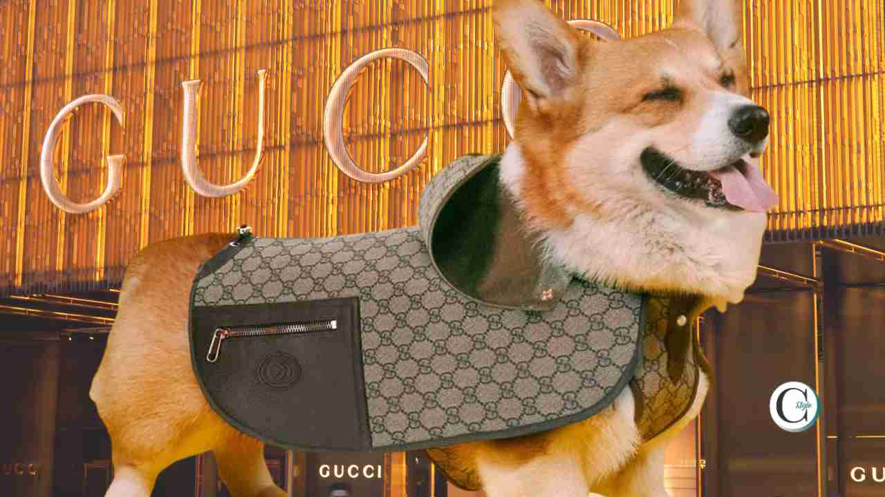 collezioni pet Gucci