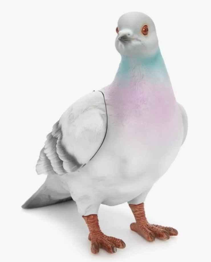 Borsa Pigeon
